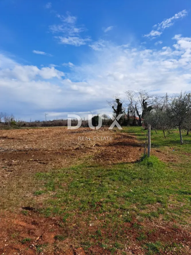istra,umag - zemljište mješovite namjene 500 metara od mora - slika 2