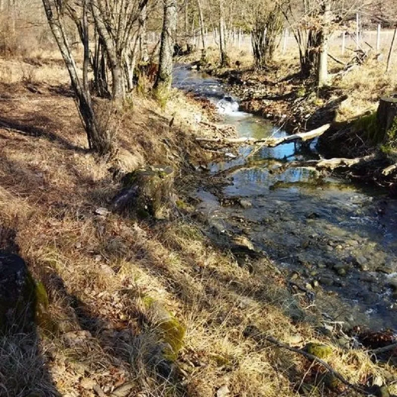 klana - zemljište u prirodi!!! 9.011 m2 - slika 8