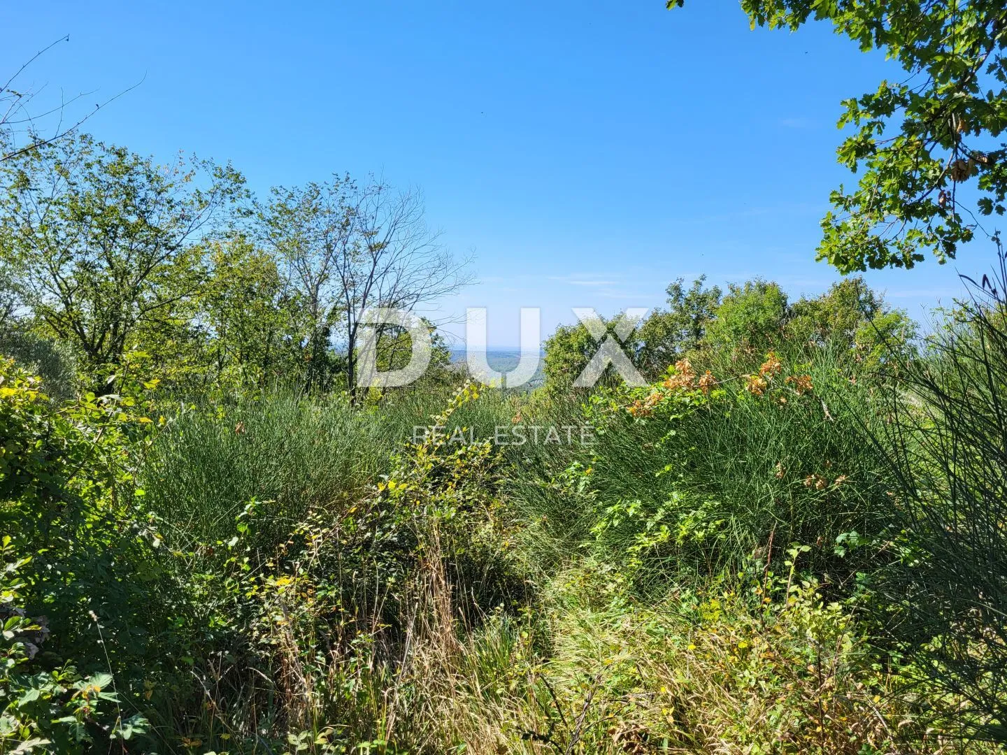 istra, grožnjan - zemljište s prekrasnim pogledom - slika 3