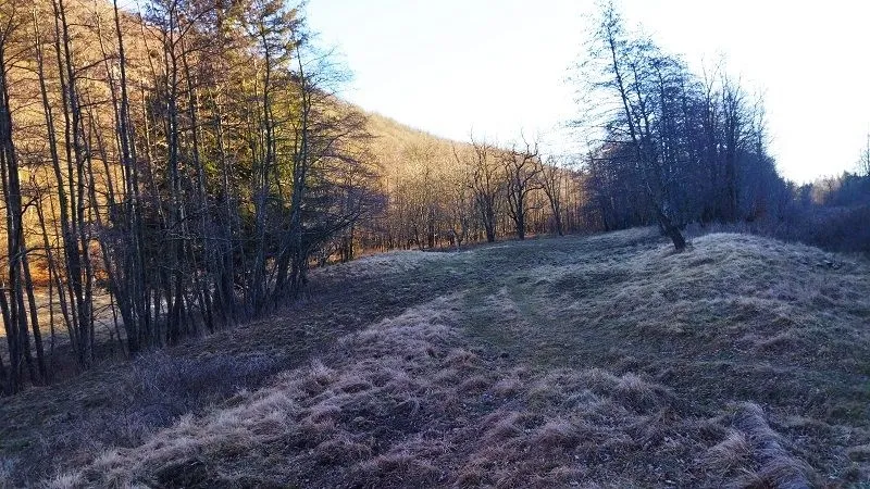 klana - zemljište u prirodi!!! 9.011 m2 - slika 5