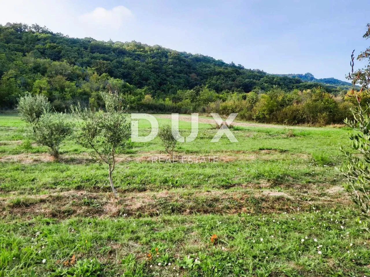 istra, labin - prostrano poljoprivredno zemljište 13 688m2 u blizini mora - slika 6