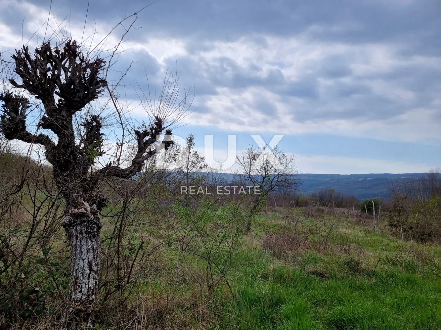 istra, labin - imanje zavidne veličine - slika 16