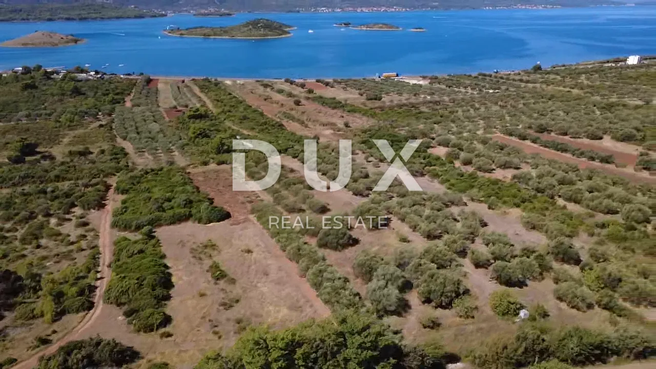 zadar, turanj - maslinik s 55 maslina - 3143m² - slika 2