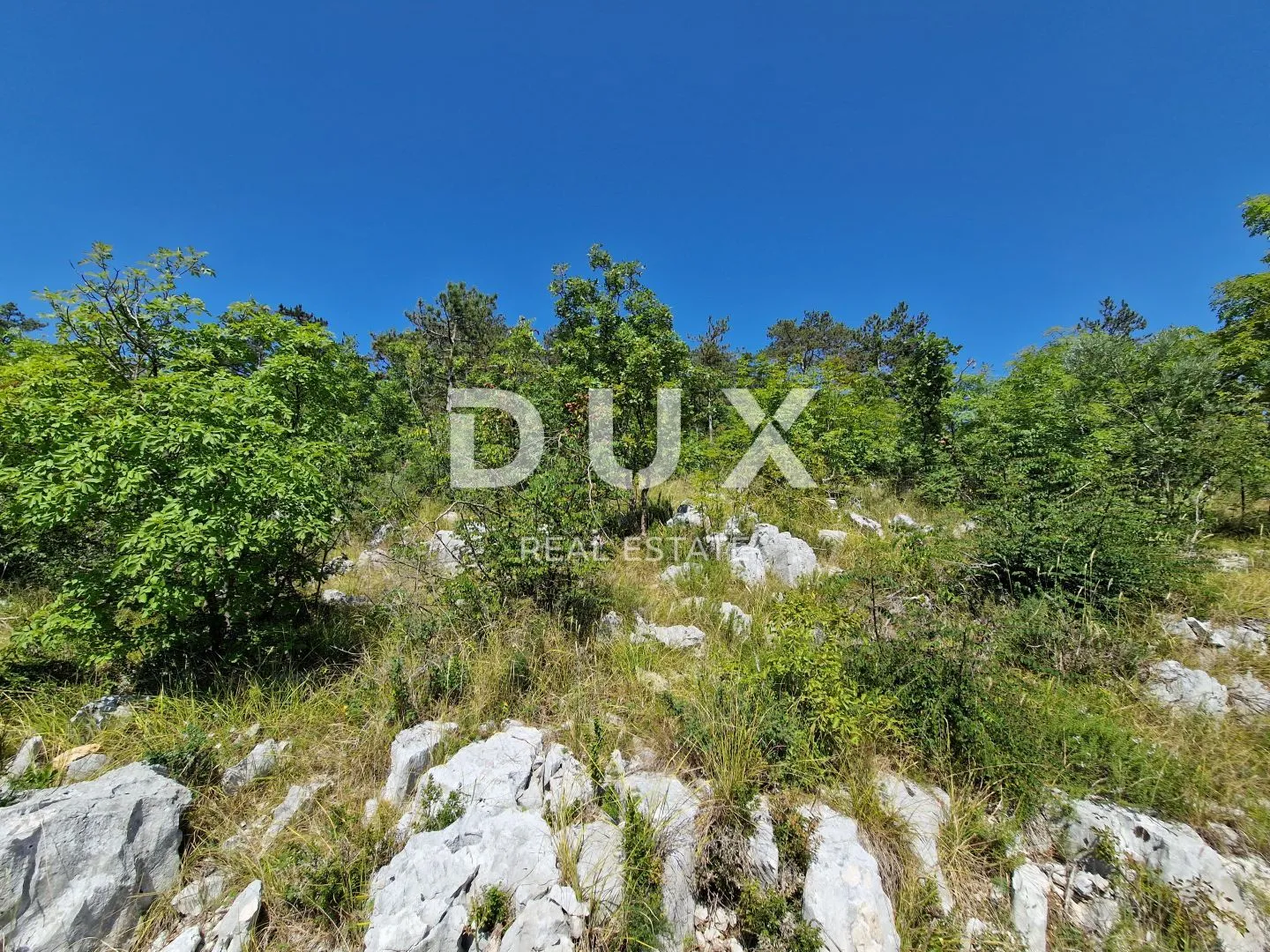 istra, buzet - zemljište s panoramskim pogledom - slika 7
