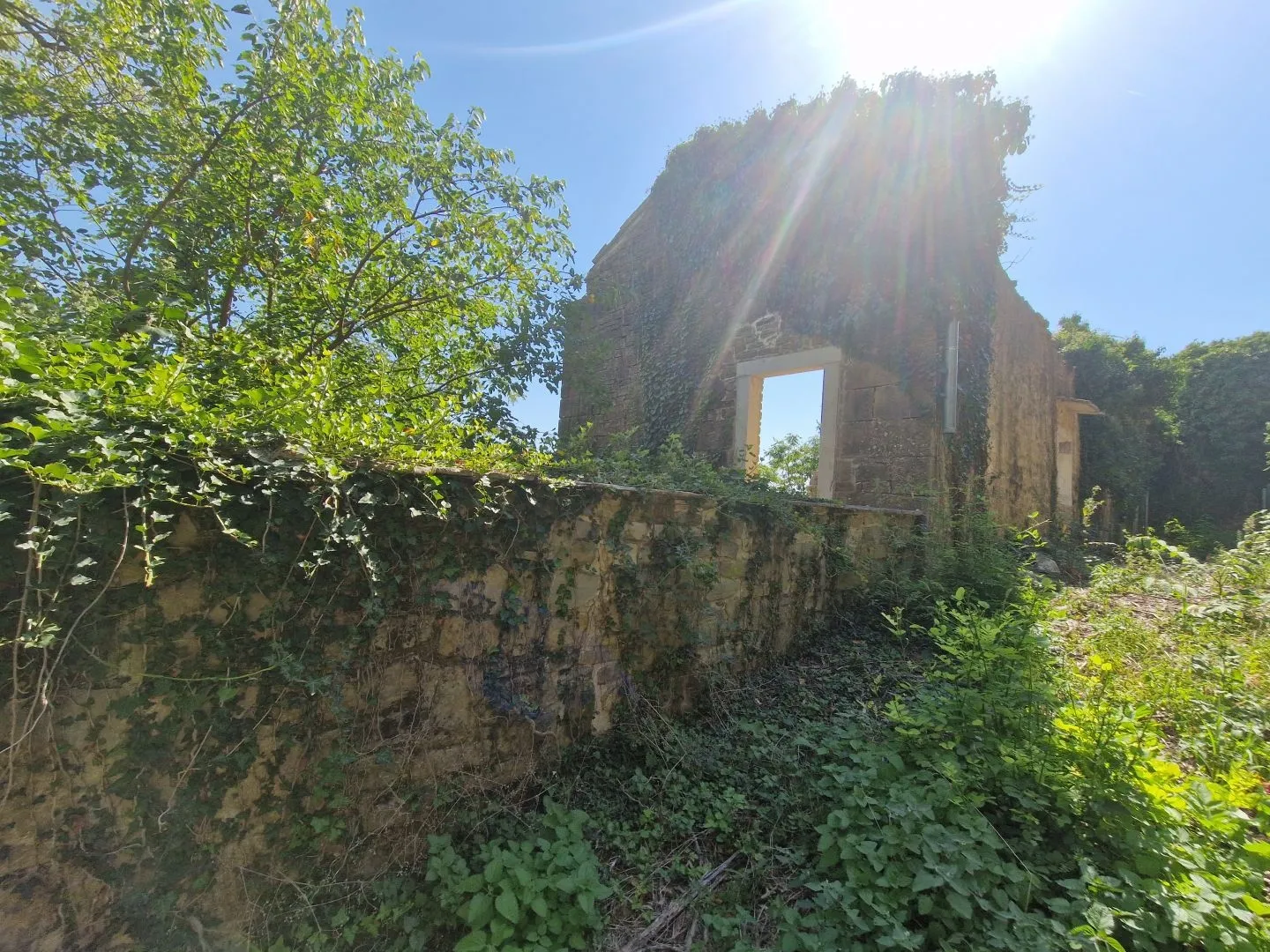 istra, oprtalj - kamena starina s panoramskim pogledom na zelenilo - slika 11