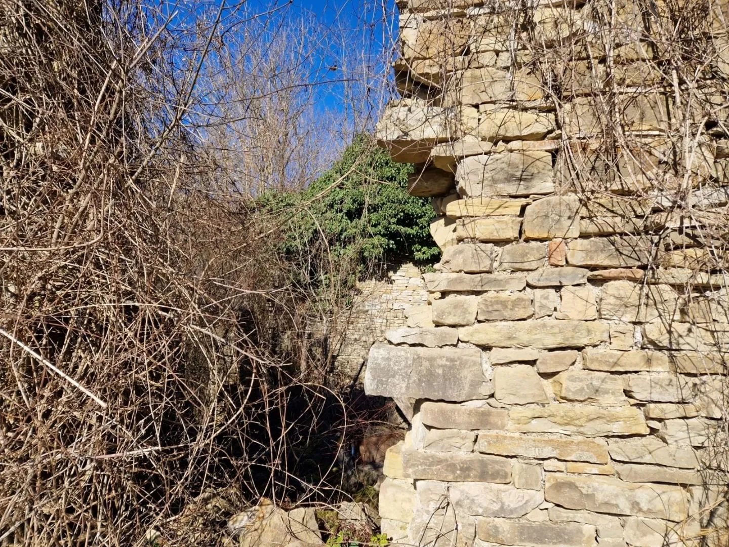 istra, pazin - imanje za obnovu - slika 30