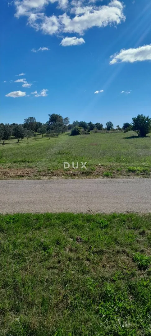 ISTRA, BALE - Poljoprivredno zemljište, 2820m2! - Krmed, Bale