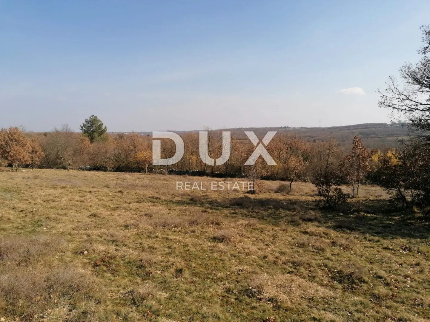 istra, višnjan - poljoprivredno zemljište, šuma - slika 6
