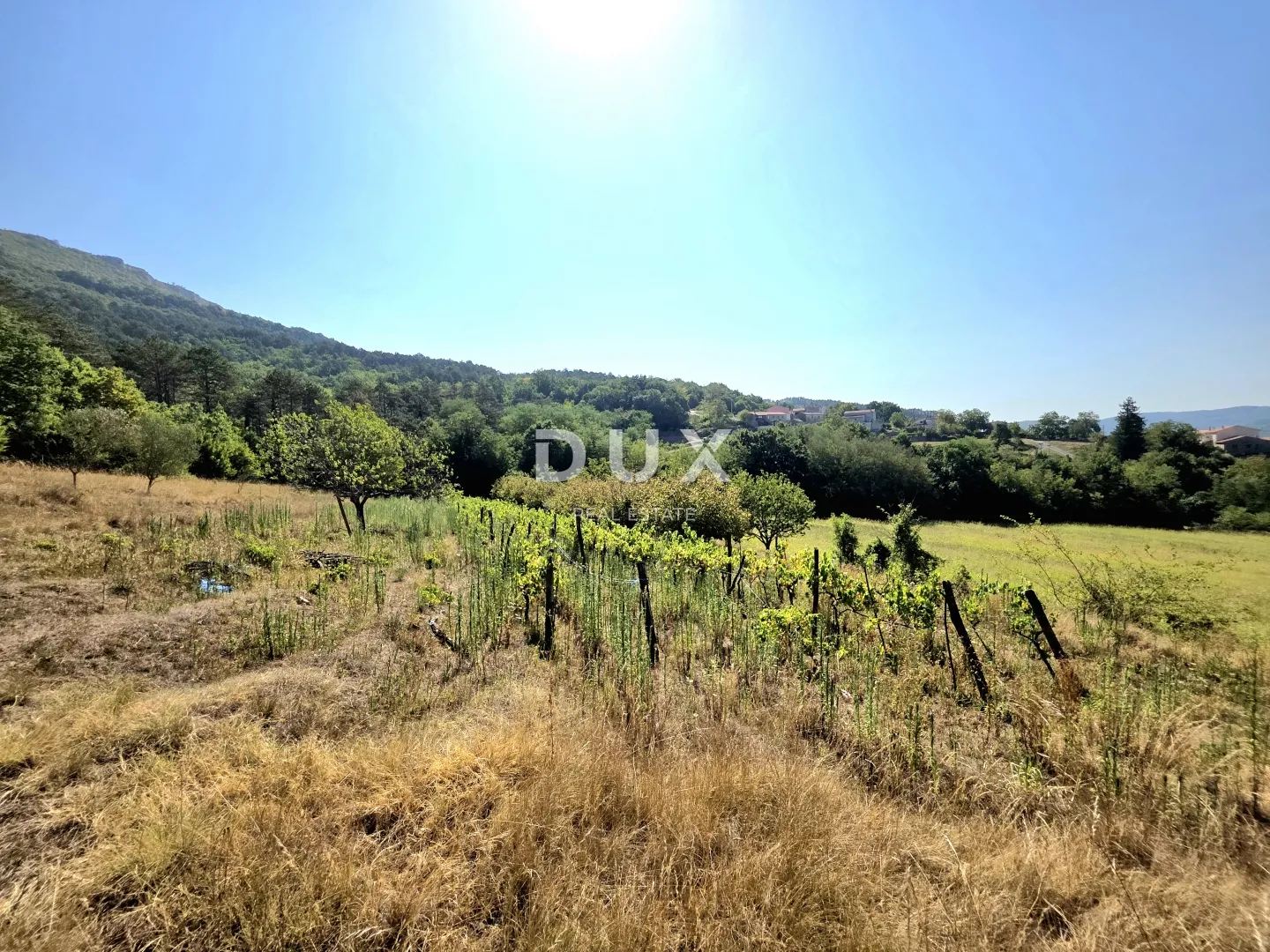 istra, buzet, kuća, 160 m2, stancija s 26724 m2 zemljišta - slika 37