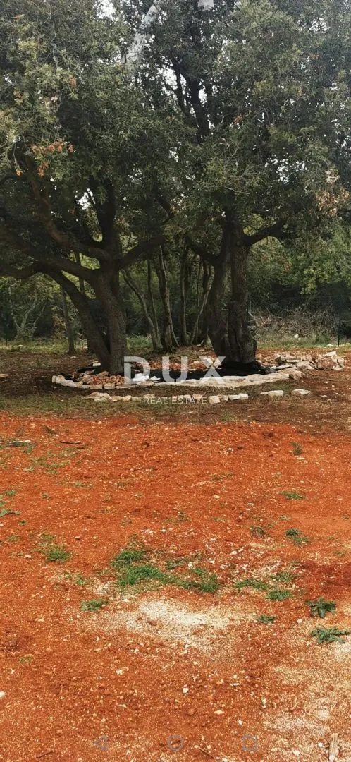 istra, pula - posebna poljoprivredna parcela s pogledom! - slika 4