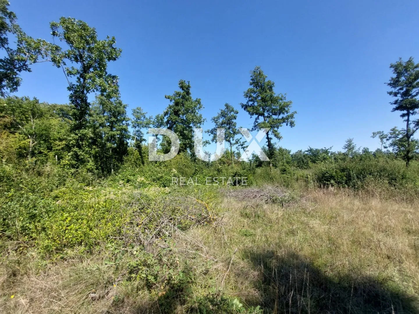 istra, barban - građevinsko zemljište od 784 m2 - slika 5