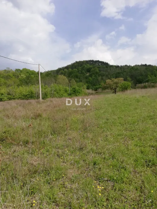 istra, motovun - prostrano građevinsko zemljište - slika 3