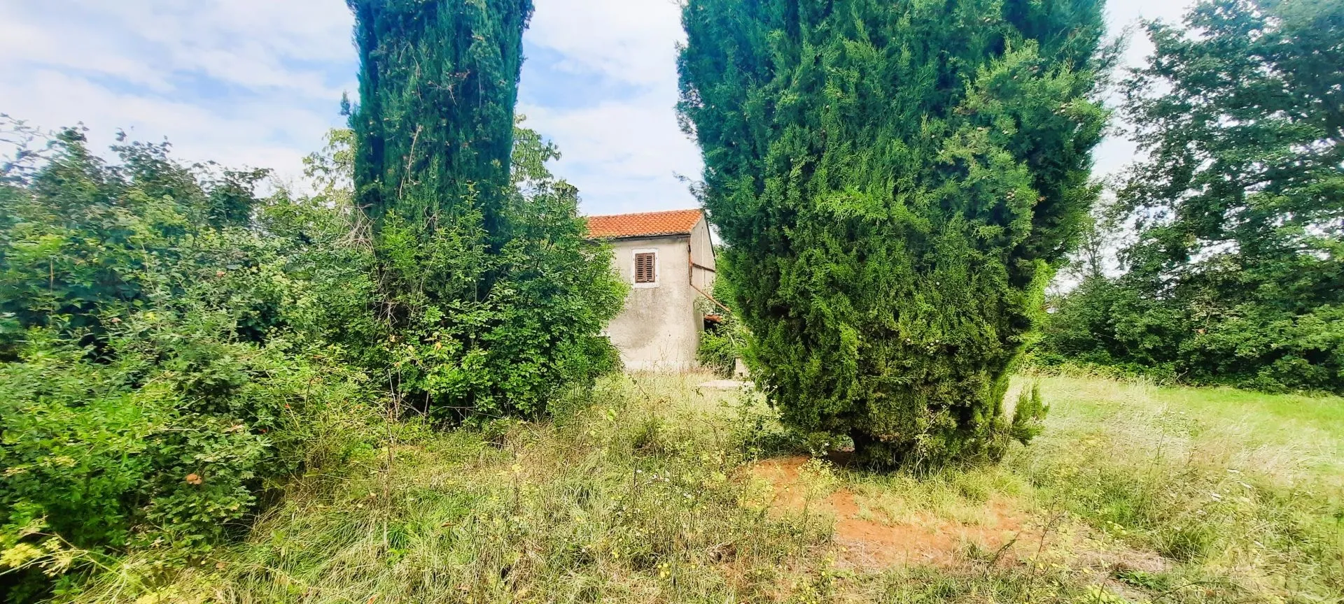 istra, žminj - kuća na osami na prostranoj okućnici - slika 5