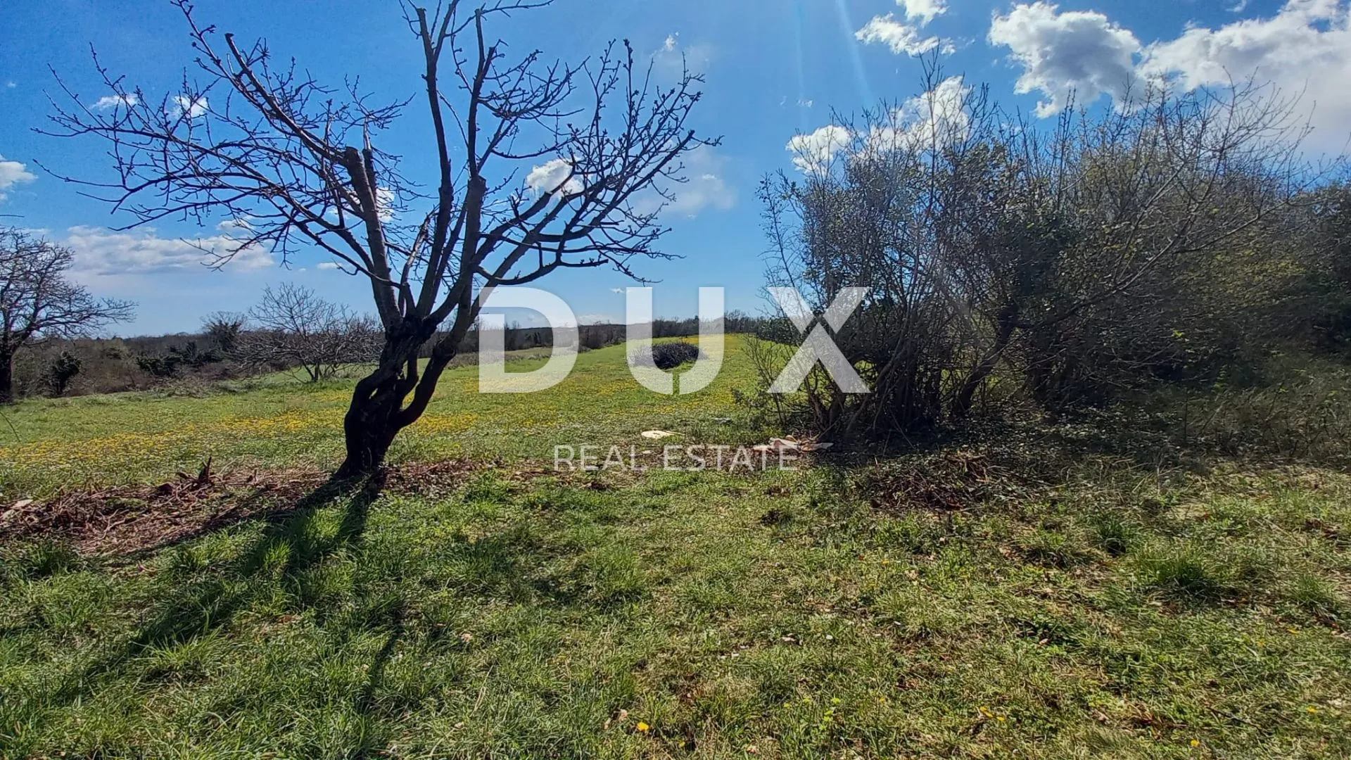 istra, marčana - poljoprivredno zemljište 10956m2! - slika 2