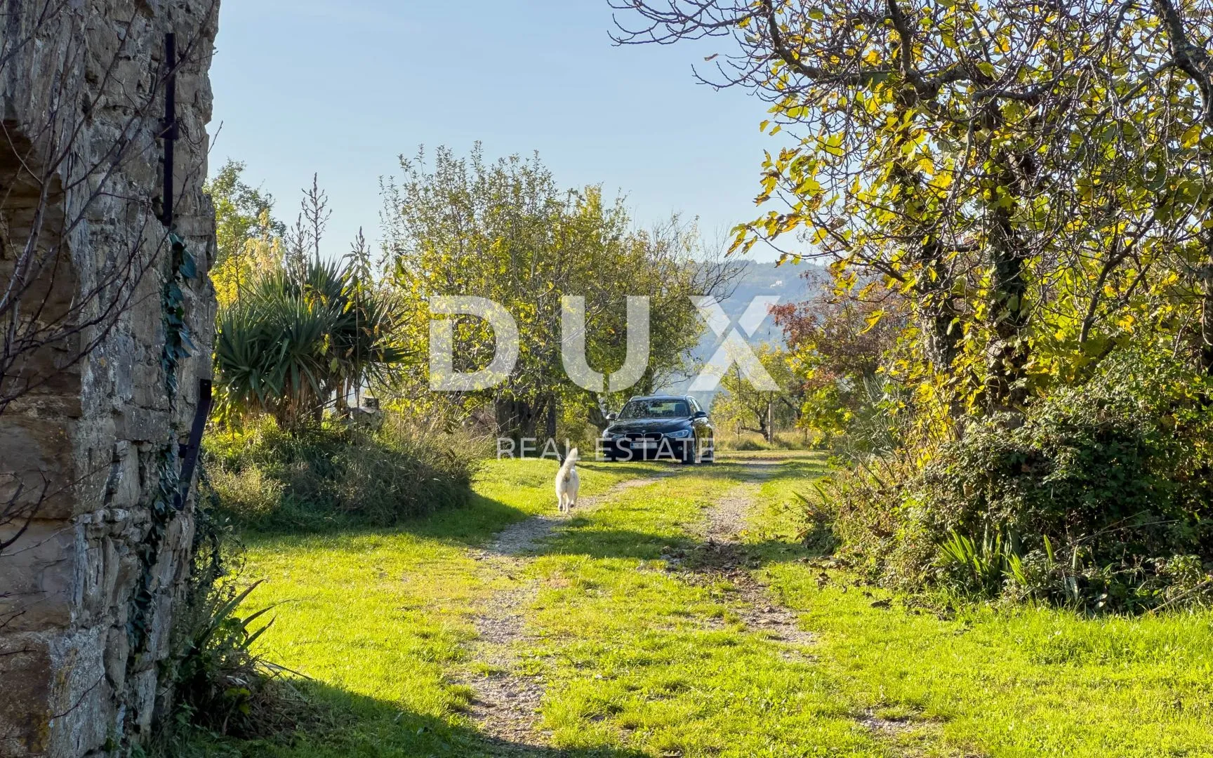 istra, lupoglav, kuća, 646 m2, 8 kuća na imanju 22.000 m2 - slika 27