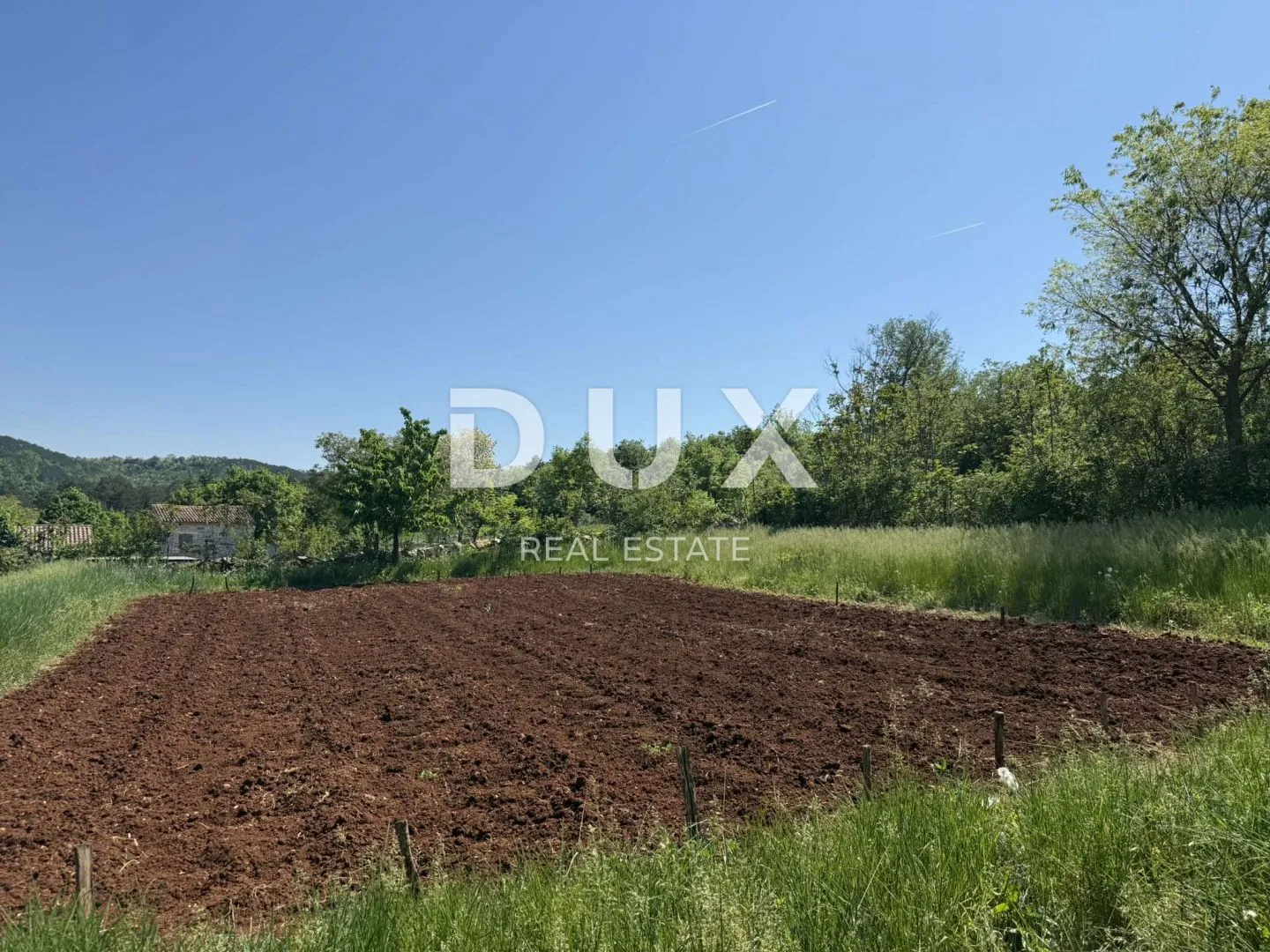 istra,grožnjan - autentična istarska kuća s dodatnim građevinskim zemljištem - slika 13