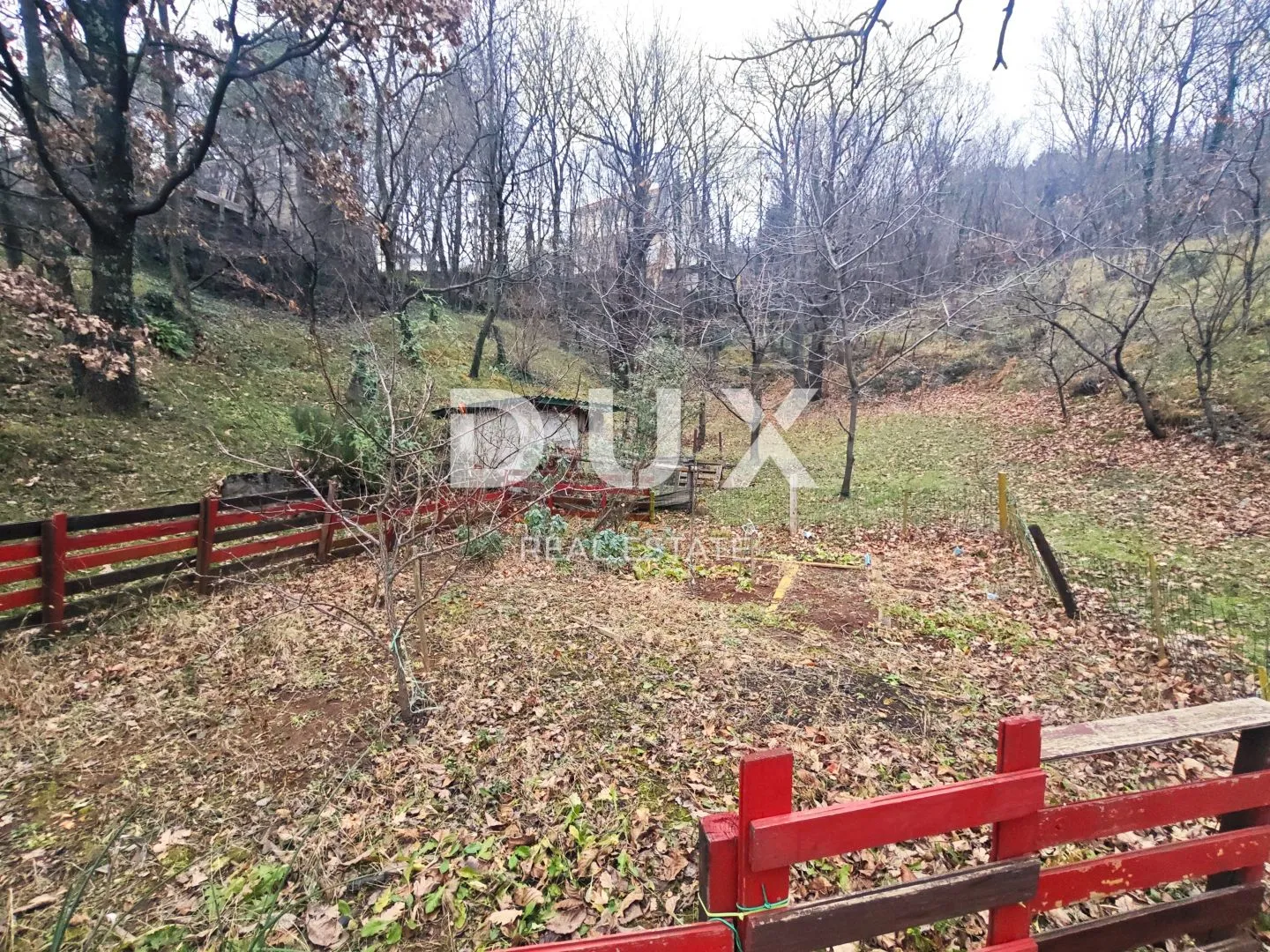 kvarner, čavle, samostojeća kuća, 280 m2, 3250 m2 građevinskog zemljišta - slika 6