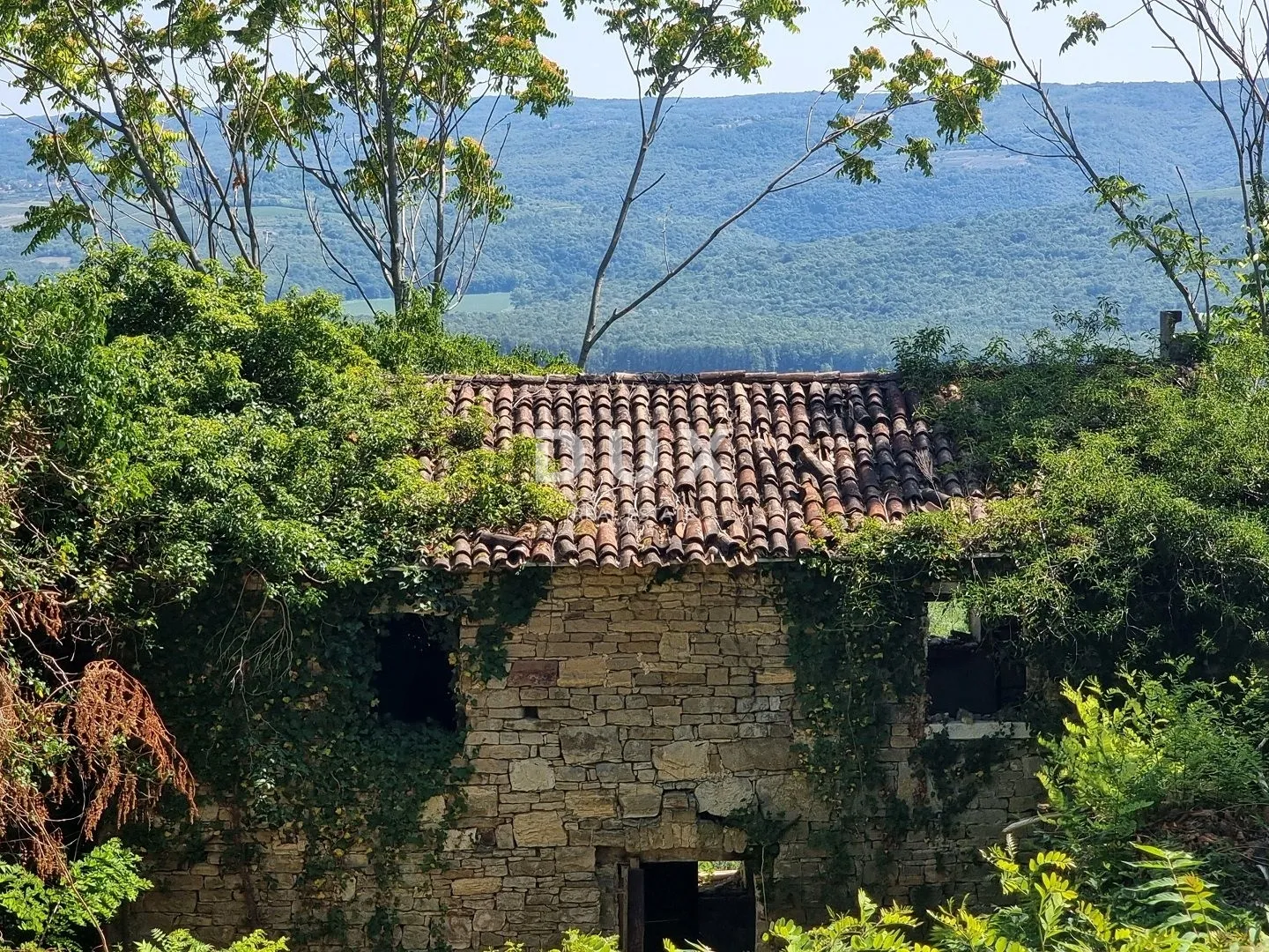 istra, grožnjan - imanje na osami s panoramskim pogledom - slika 11