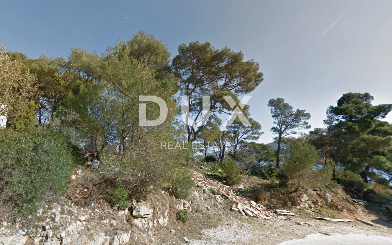 dugi otok, božava - zemljište od 15 000 m2 prvi red do mora! - slika 1
