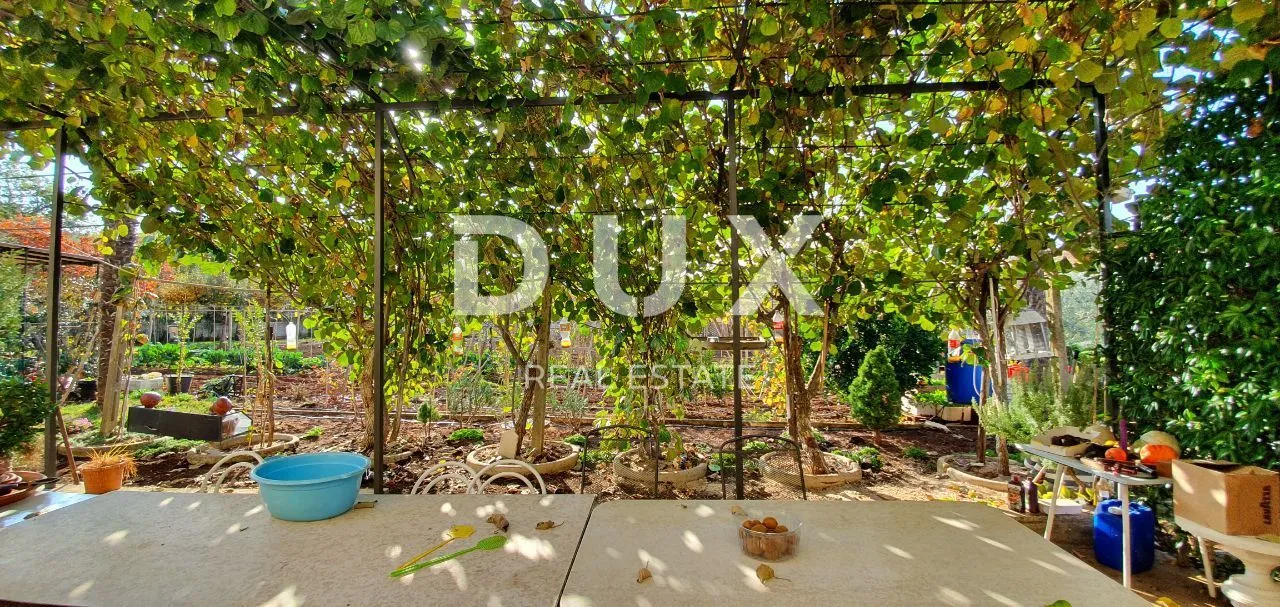 istra, poreč - apartmanska kuća s 5 stambenih jedinica - slika 10