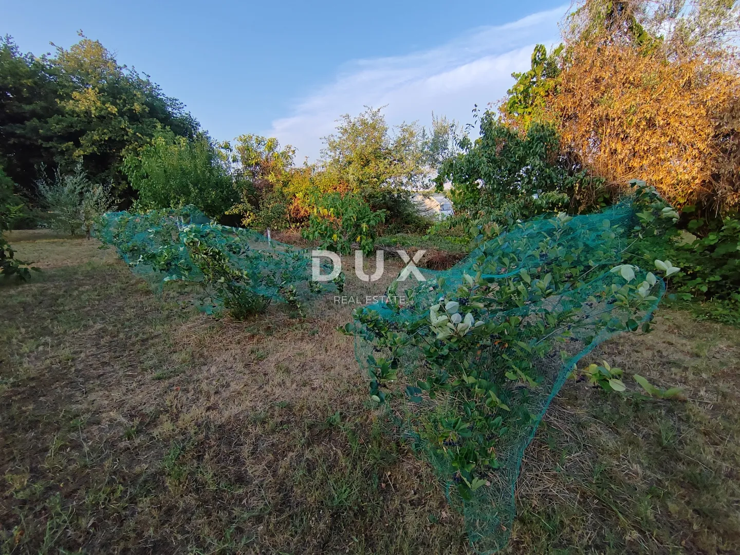 istra, brtonigla, kuća, 181 m², 2.461 m² okućnice - slika 23