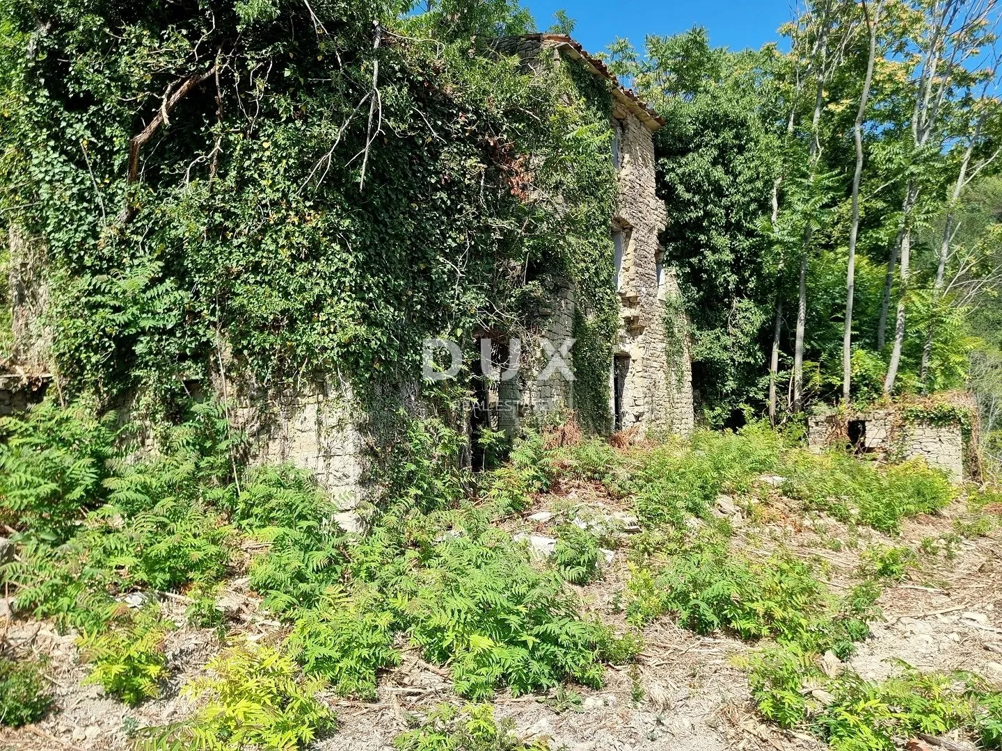 istra, grožnjan - imanje na osami s panoramskim pogledom - slika 6