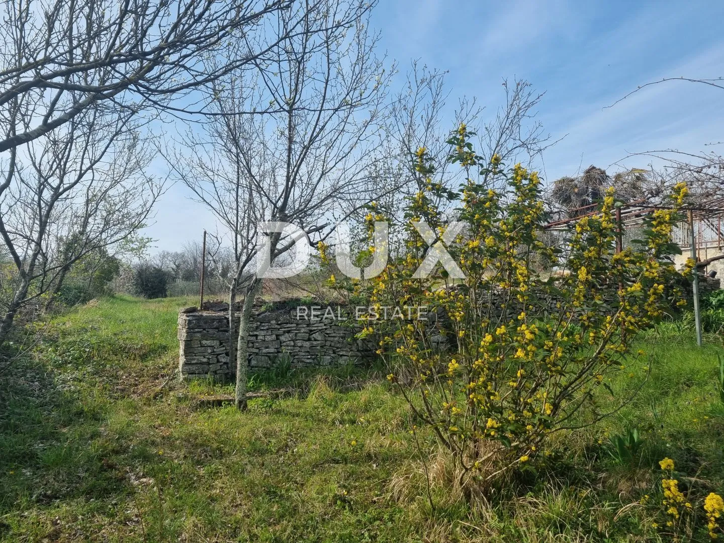 istra, tinjan - kuća sa prostranom okućnicom! - slika 3
