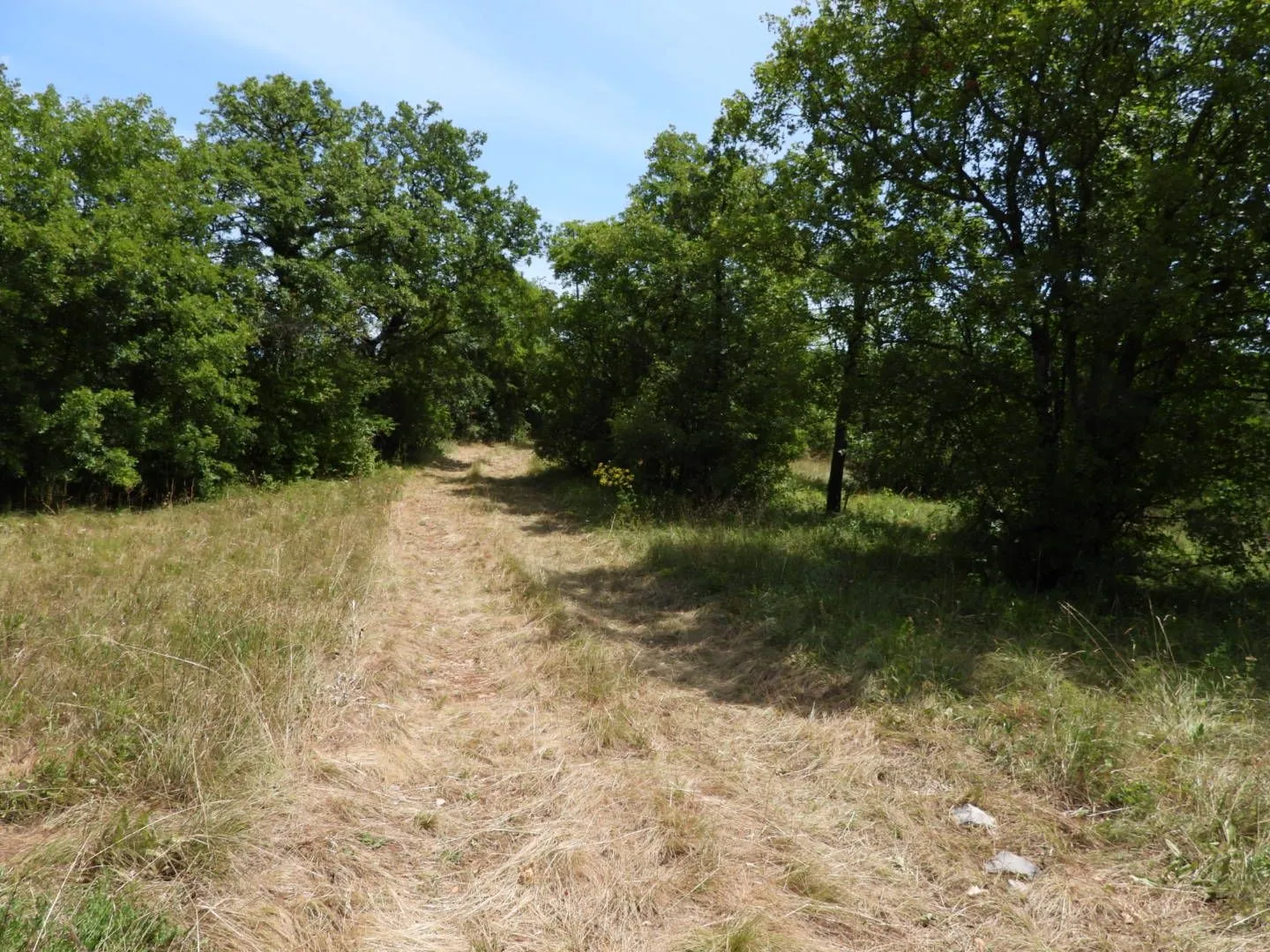 kukuljanovo industrijska zona - građevinski teren 4570m2 za halu / poslovnu zgradu - slika 3