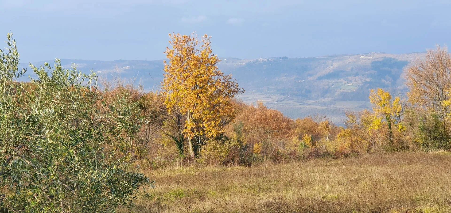 istra, vižinada - prostrano građevinsko zemljište na osami s panoramskim pogledom - slika 31