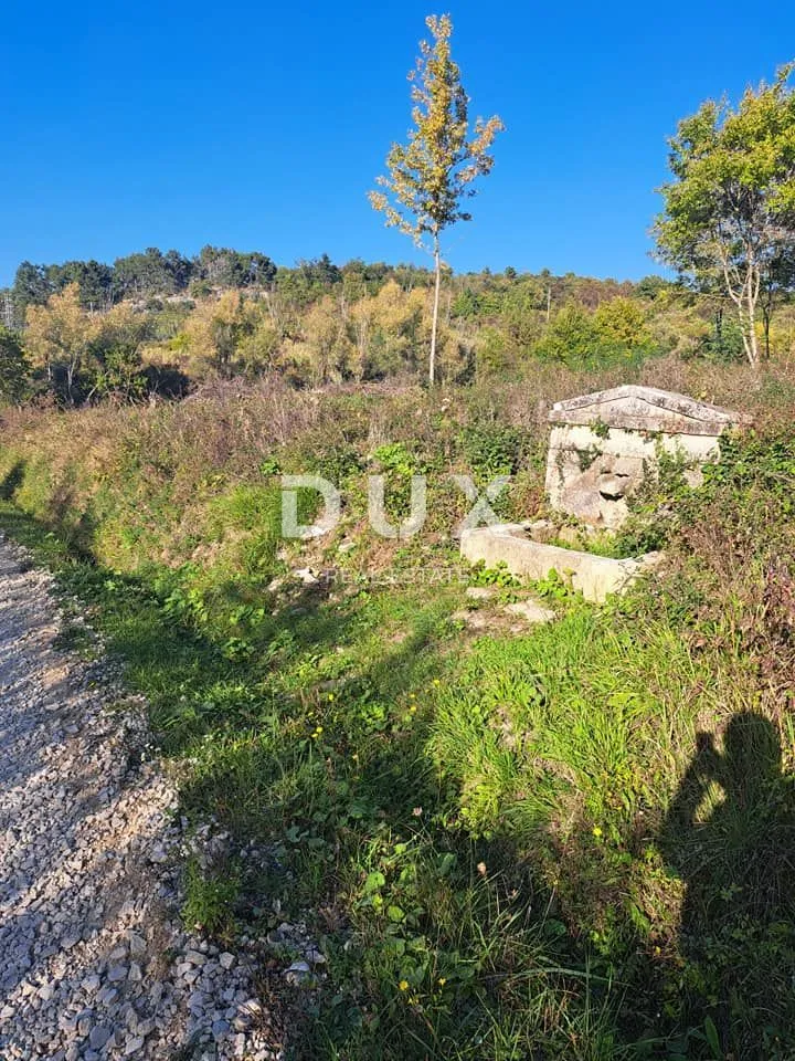 istra,buje - poljoprivredno zemljište - slika 4
