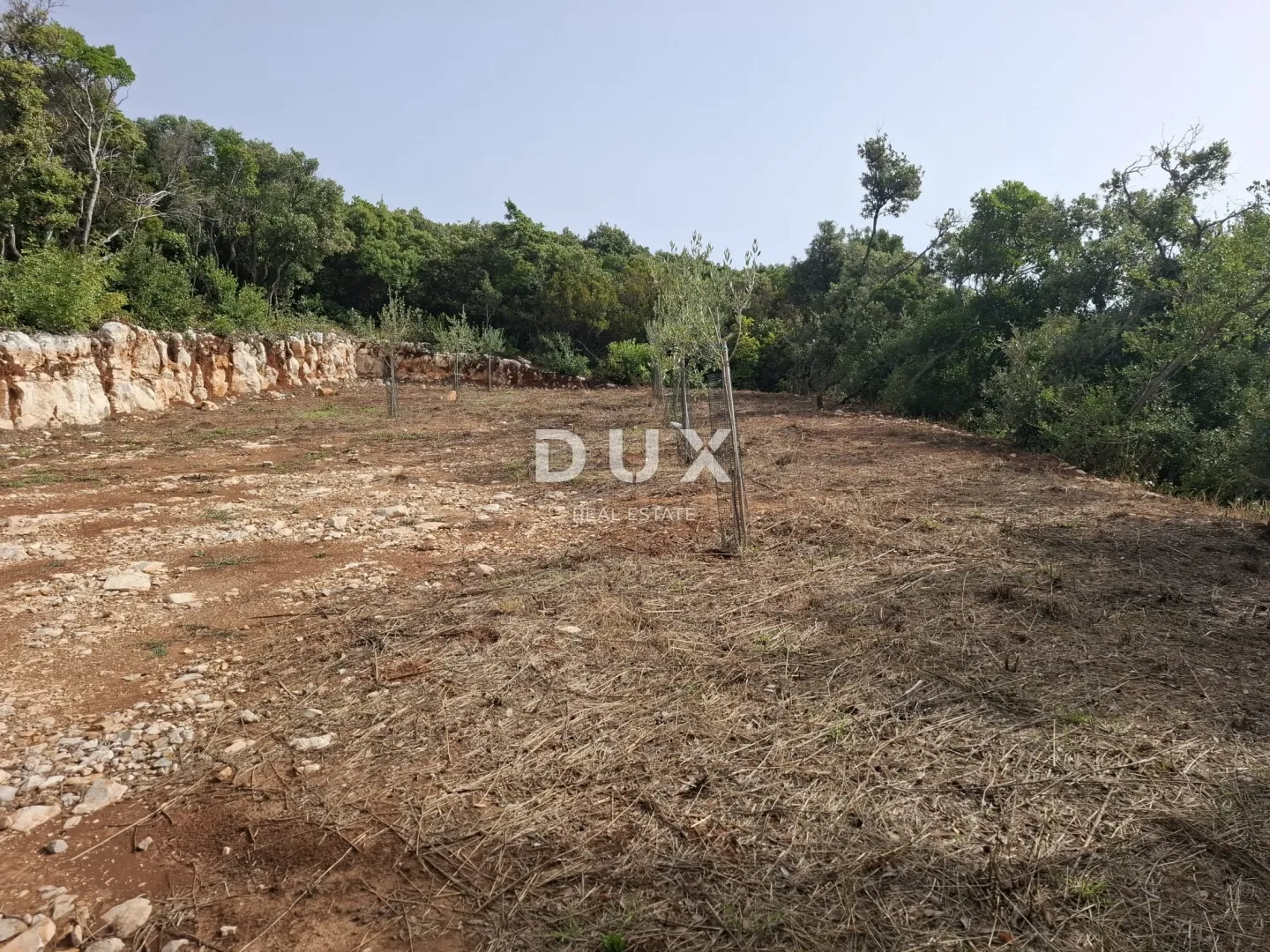 istra, kavran, zemljište, 500 m2, 50 m od mora - slika 3