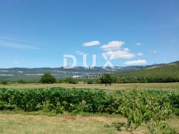 istra, boljun - kuća s garažom te velikom okućnicom - slika 5