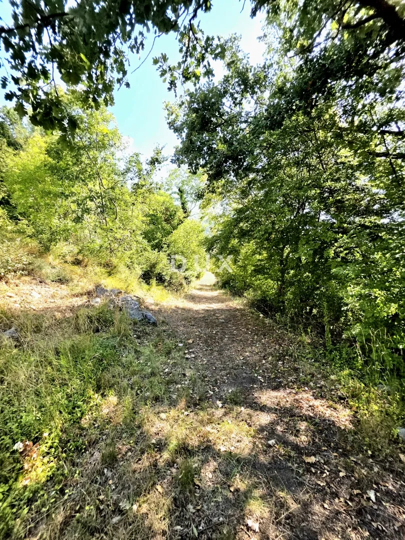 istra, buzet, kuća, 160 m2, stancija s 26724 m2 zemljišta - slika 31