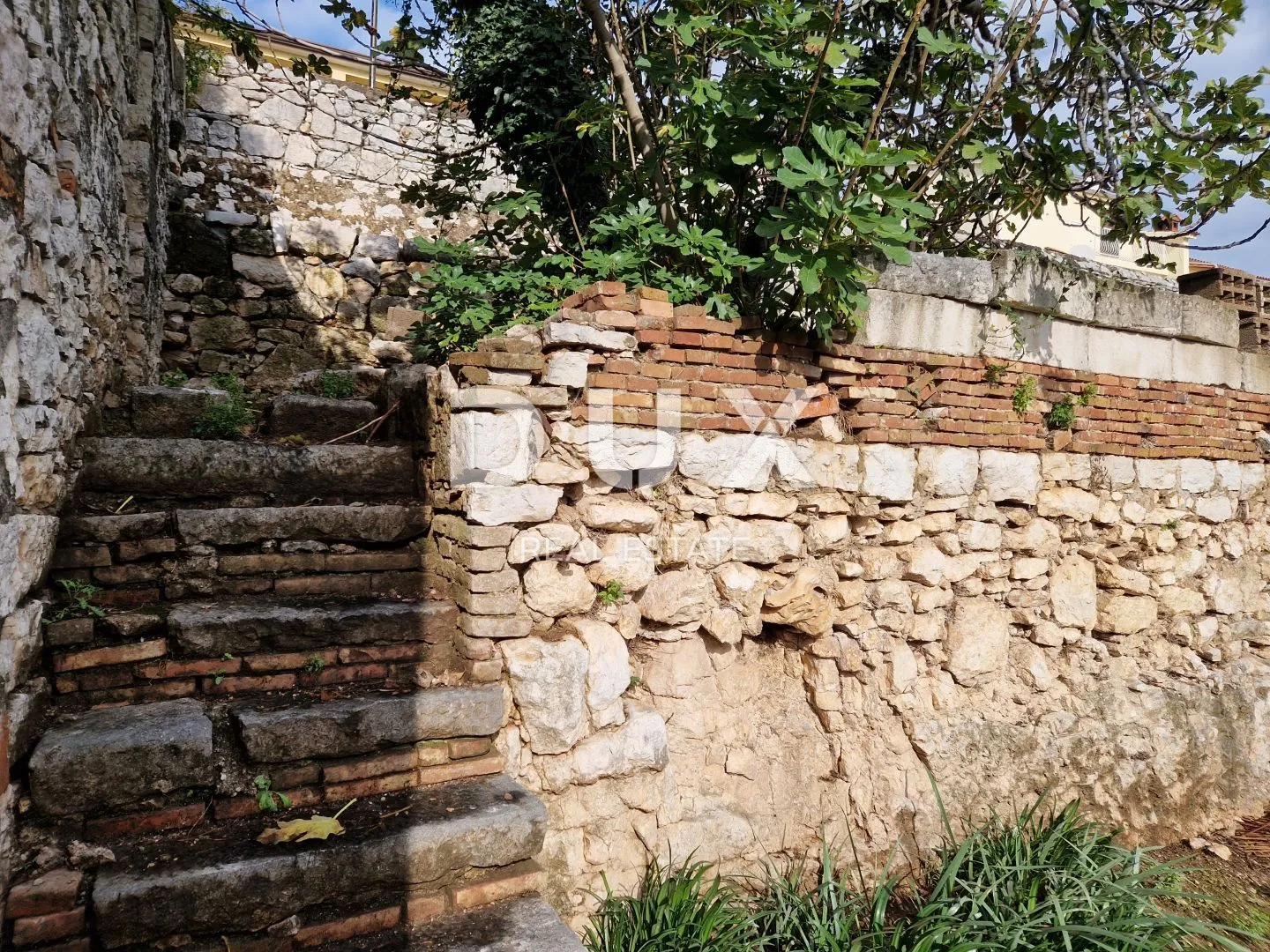 istra, vrsar - kamena kuća 450m od mora - slika 50