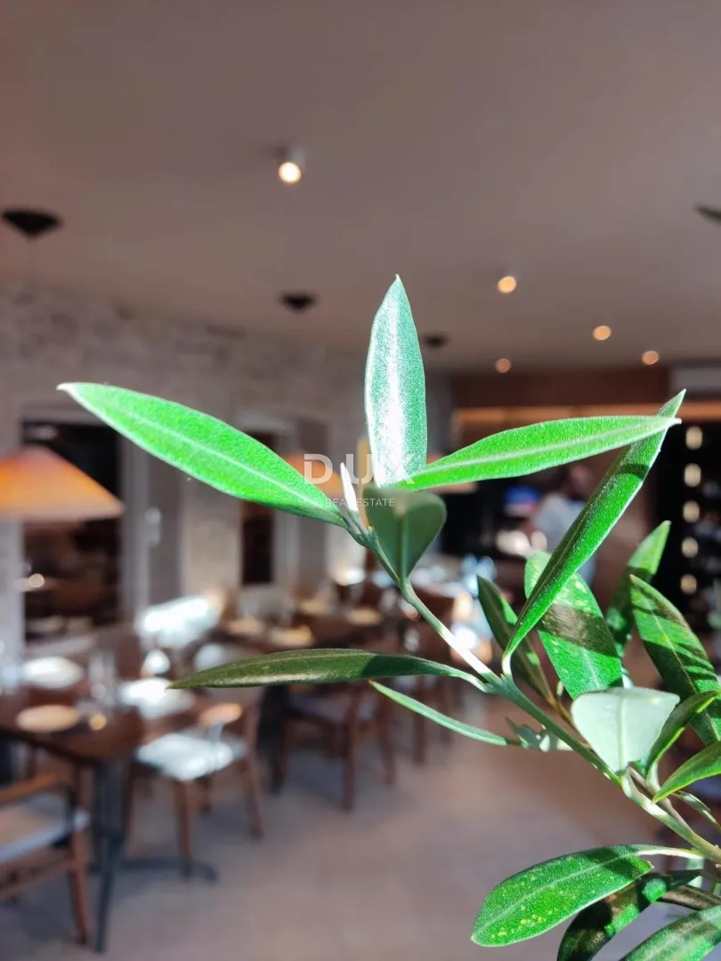 šibenik, centar, vrhunski uhodani restaurant, prvi red do mora. - slika 8