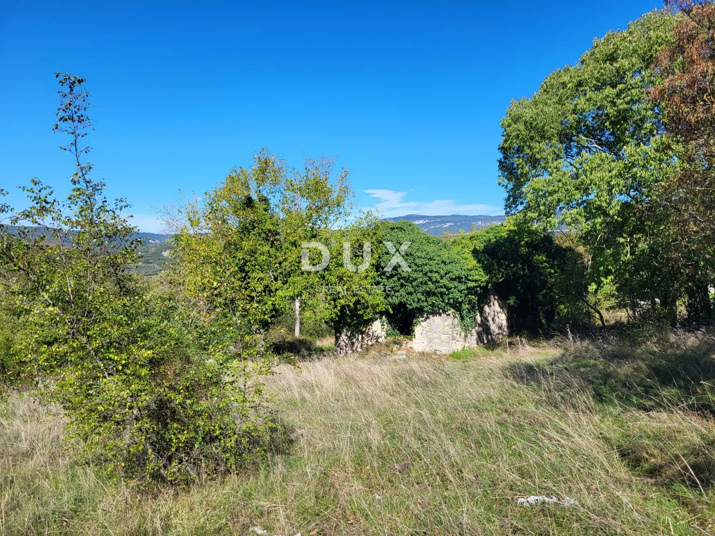 lupoglav, boljunsko polje, kamene kuće, 166 m2 - slika 10