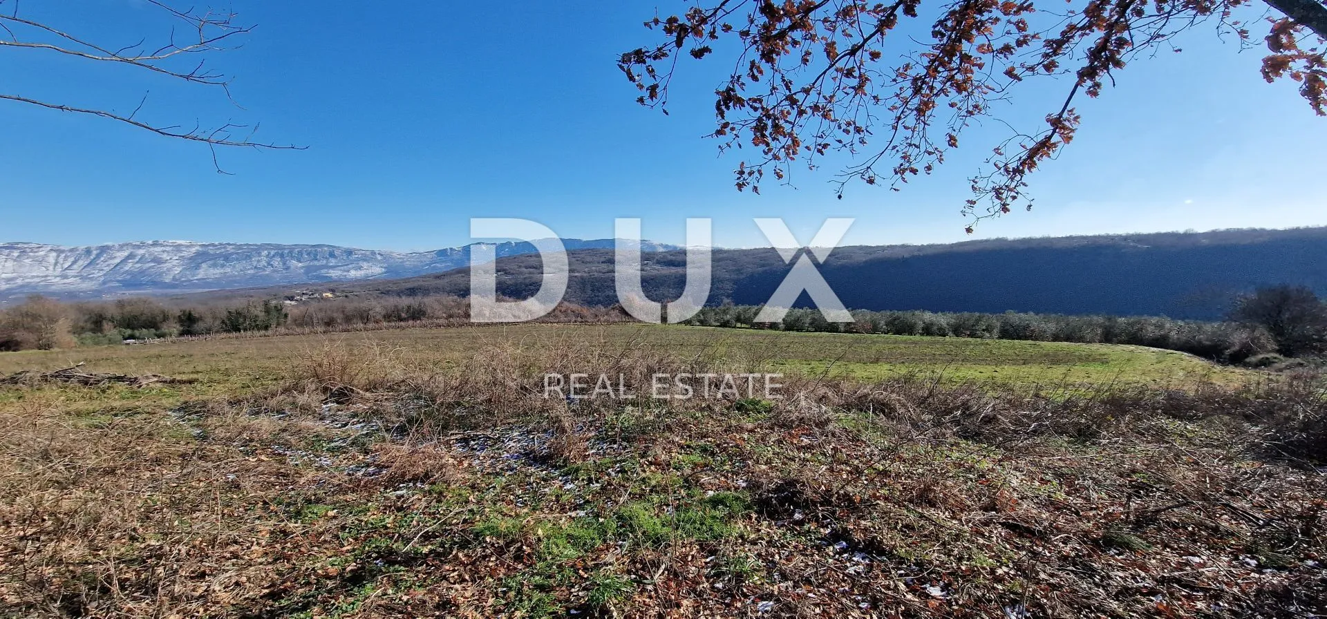 istra, labin, pićan - potpuna osama i prekrasan pogled!! građevinsko zemljište 750m2 i poljoprivredno 692 m2 - slika 16