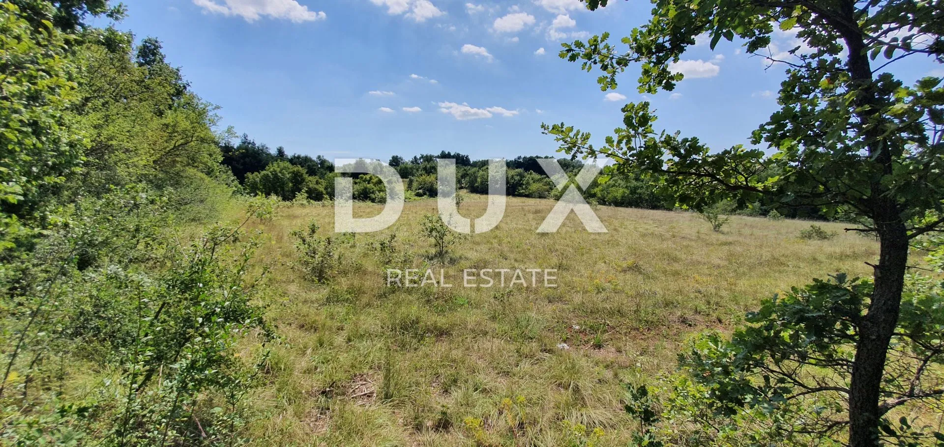 ISTRA, ŠUMBER - Zemljište na rubu građevinskog područja - Šumber, Sveta Nedelja