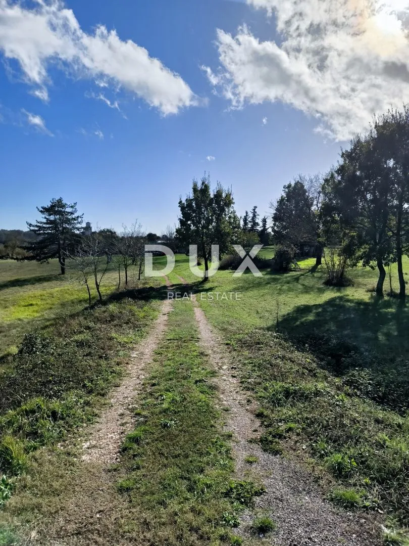 istra, tinjan - 10743 m2 građevinskog zemljišta s objektom! - slika 2