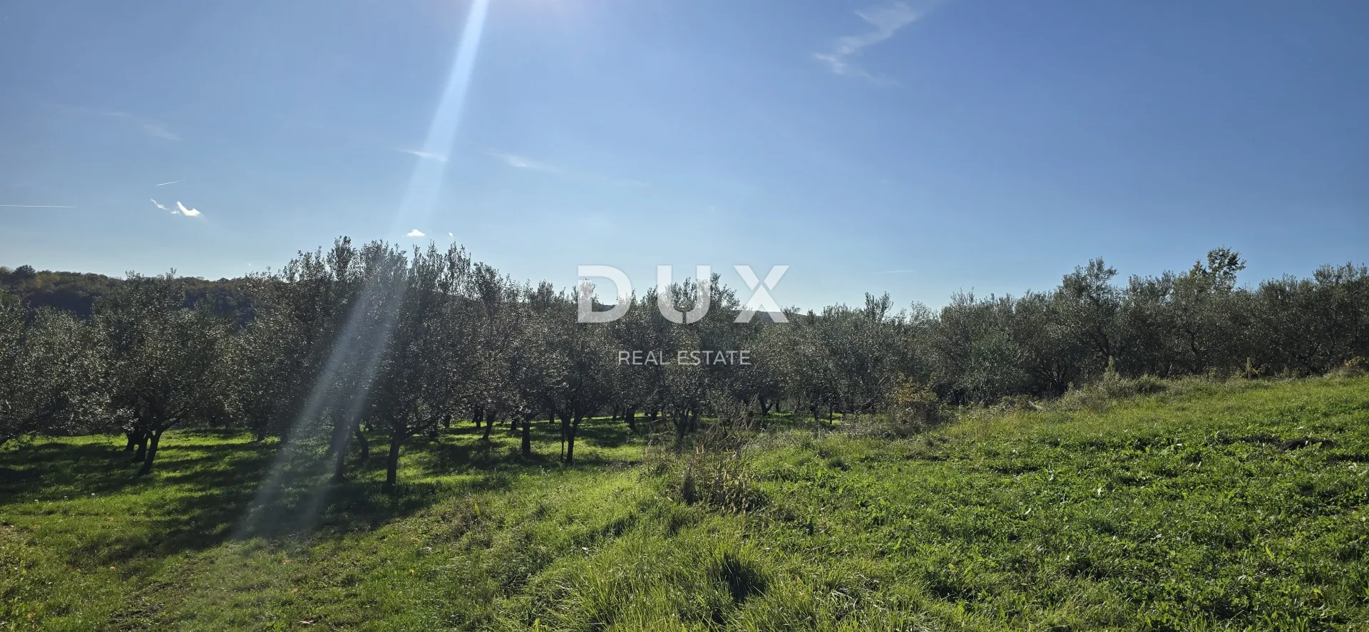 istra, pićan - građevinsko zemljište, maslinik, vinograd, oranica, potpuna osama i fantastičan pogled - slika 15