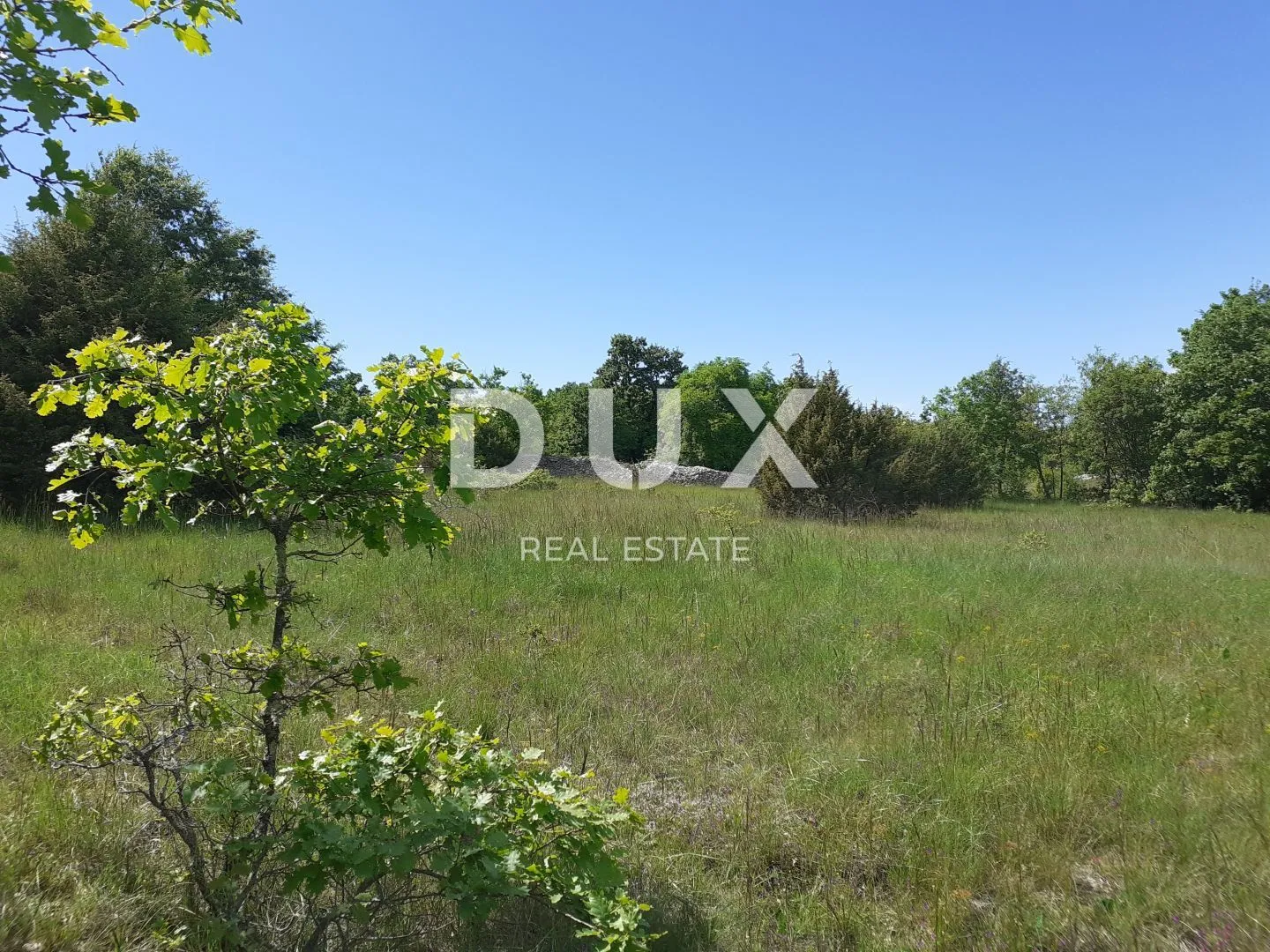 ISTRA, SVETVINČENAT - Poljoprivredno zemljište 4773 m2 - Režanci, Svetvinčenat