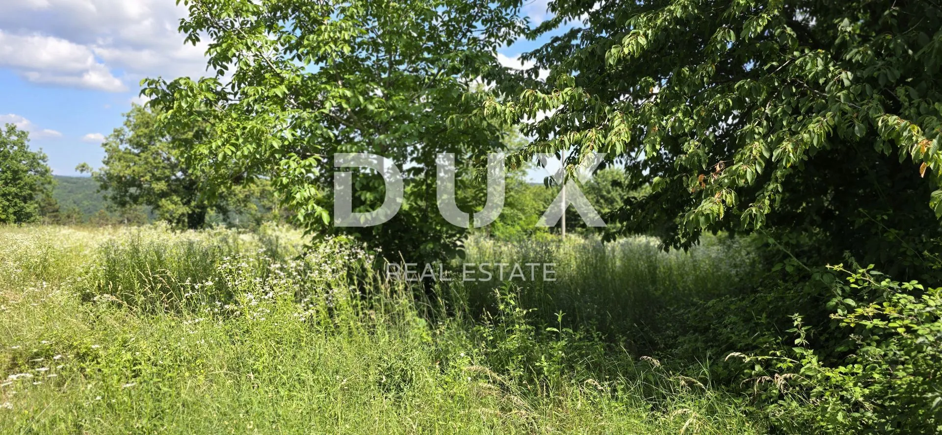istra, tinjan - građevinsko zemljište u blizini tinjana - slika 4