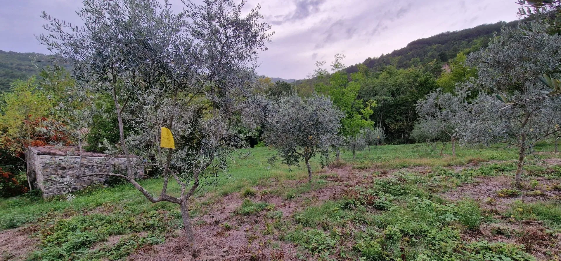 istra, gračišće - kameni objekti s prostranim zemljištem na osami - slika 27