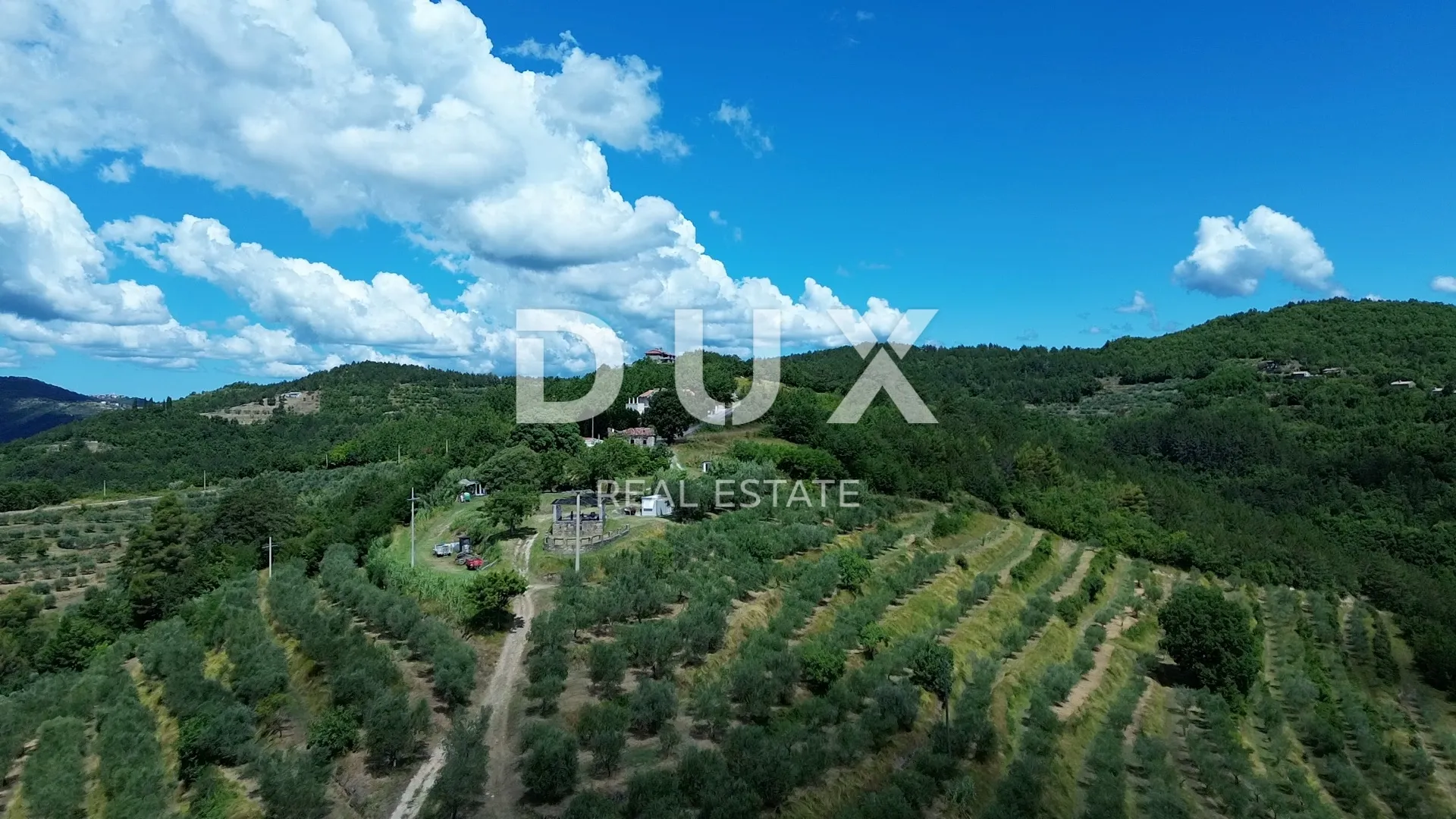 istra, motovun, imanje, 170.416 m2 - slika 4