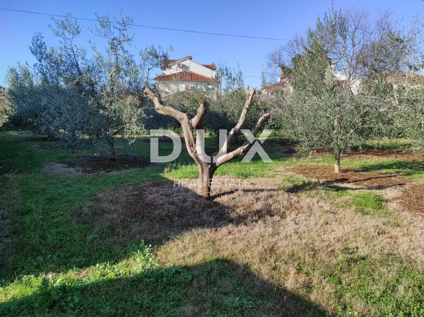 istra, poreč (okolica) - obiteljska kuća s pogledom na more - slika 26