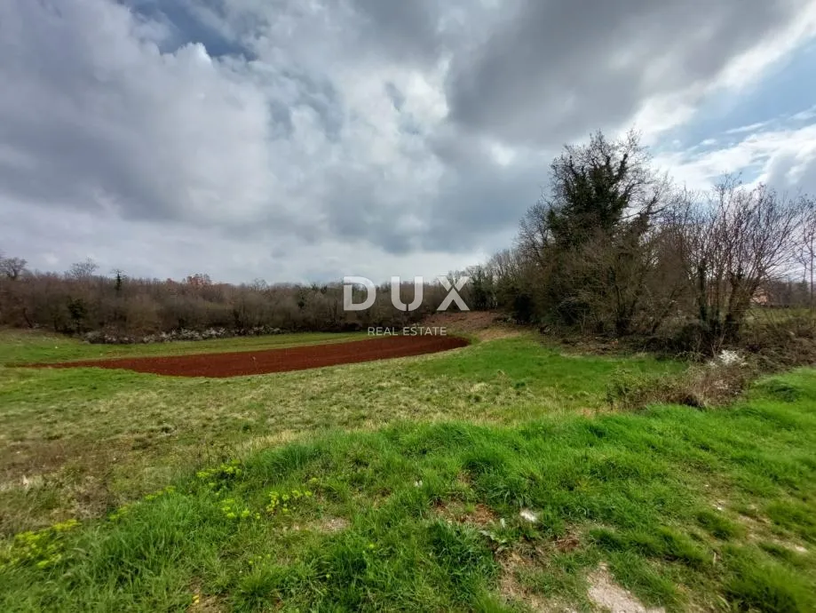 istra, tinjan - zemljište s građevinskom dozvolom - slika 18