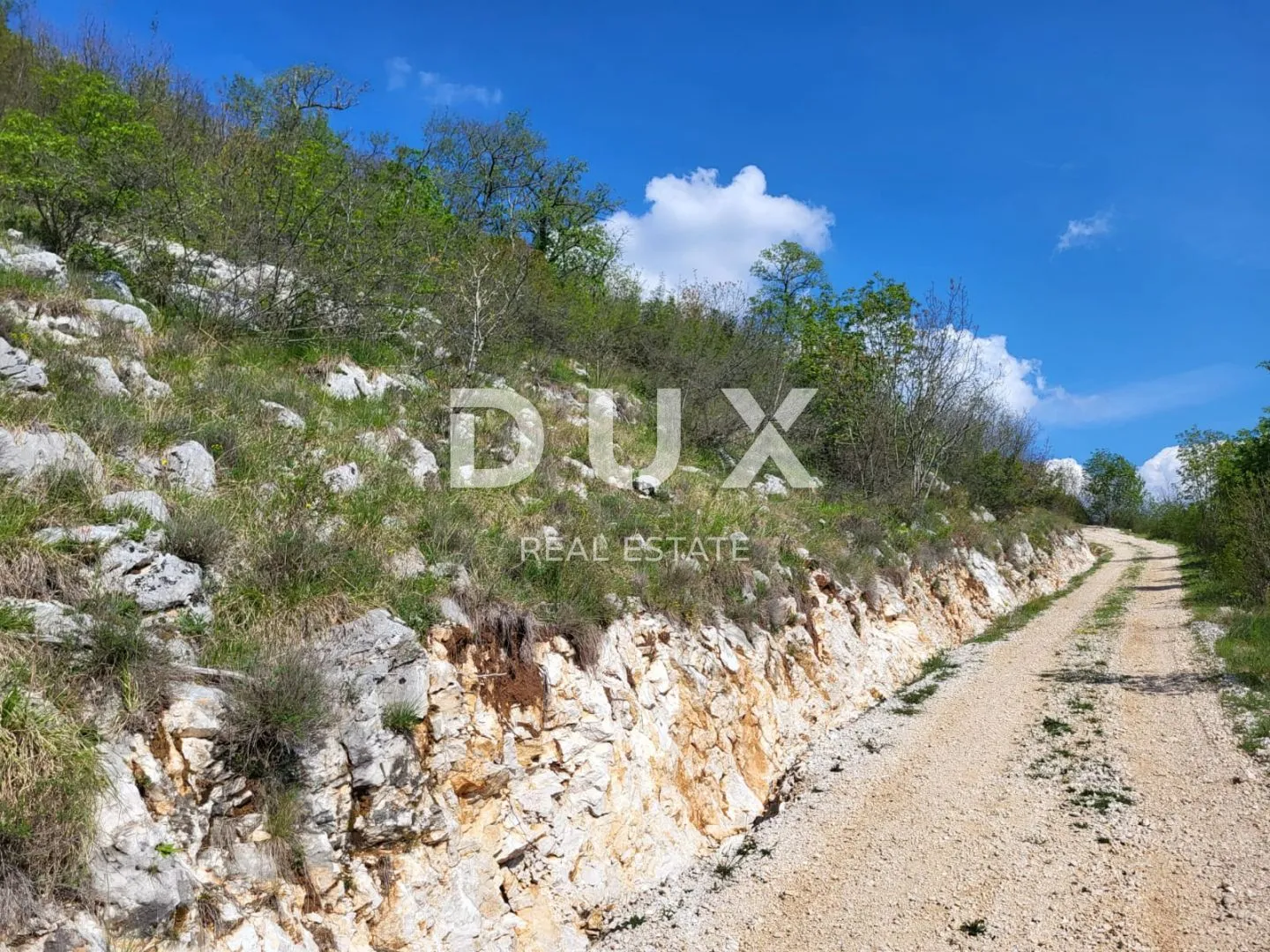 istra, buzet - poljoprivredno zemljište - slika 5