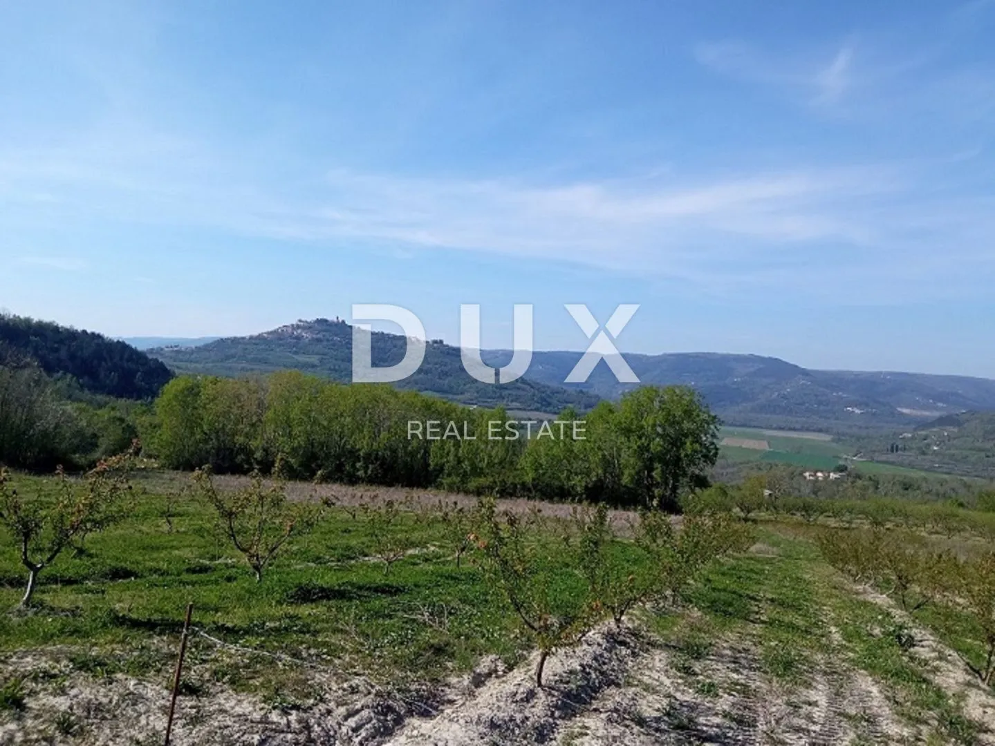 Istra, Motovun, zemljište, 3.597 m2, kompleks