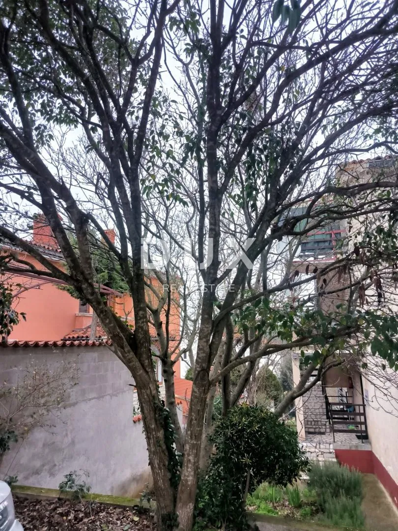 istra, banjole stan s 4 sobe i pogledom na more! - slika 6