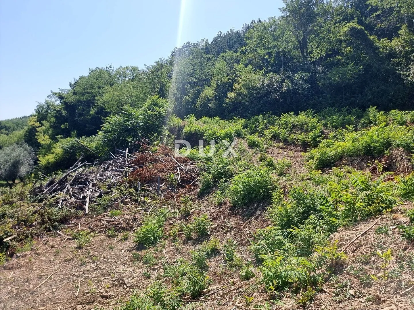 istra, grožnjan - građevinsko zemljište na osami s panoramskim pogledom - slika 16
